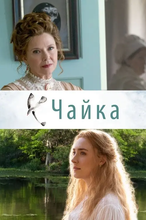 Постер фільму Чайка