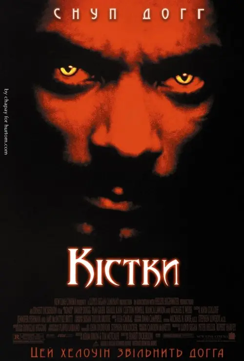 Постер фільму Кістки