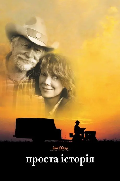 Постер фільму Проста історія