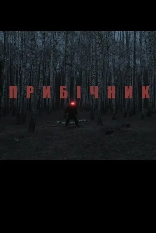 Постер фільму Прибічник