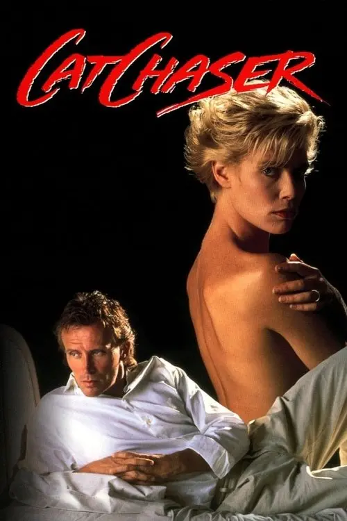 Постер фільму Переслідувач кішок