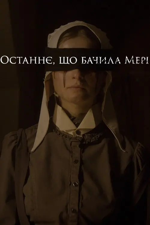 Постер фільму Останнє, що бачила Мері