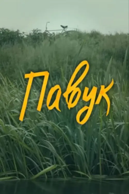 Постер фільму DZIDZIO: Павук