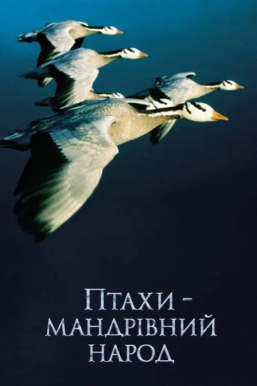 Постер фільму Птахи – мандрівний народ