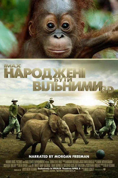 Постер фільму Народжені бути вільними