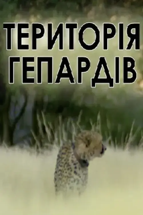 Постер фільму Територія гепардів