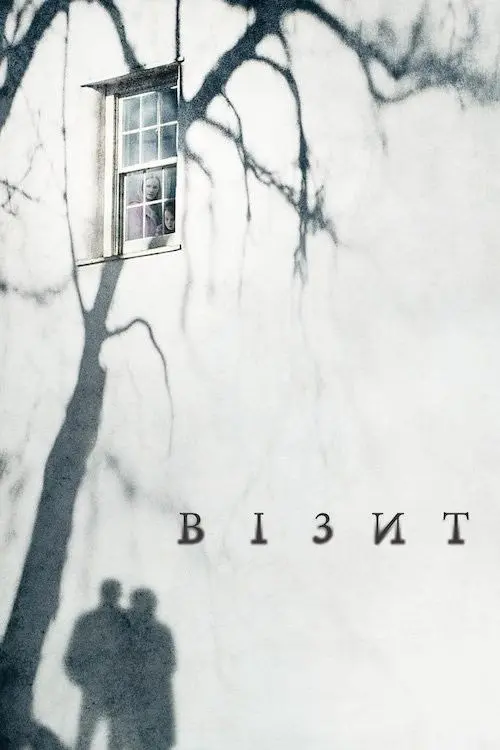 Постер фільму Візит