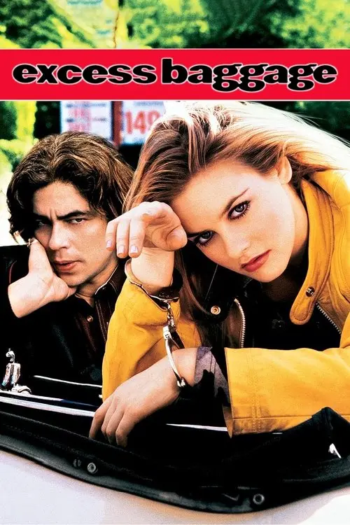 Постер фільму Зайвий багаж