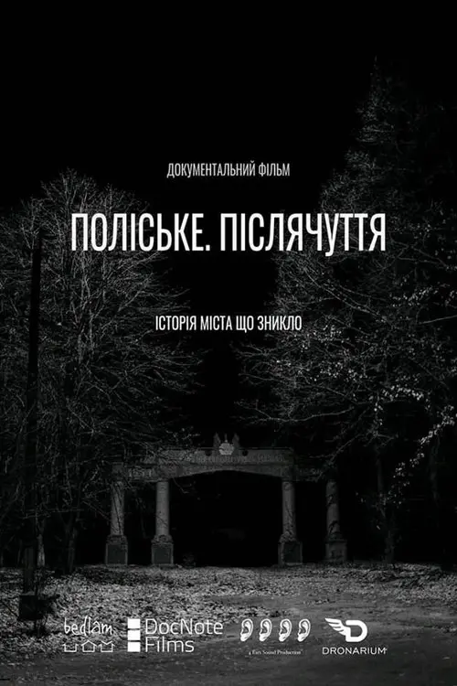 Постер фільму Поліське. Післячуття