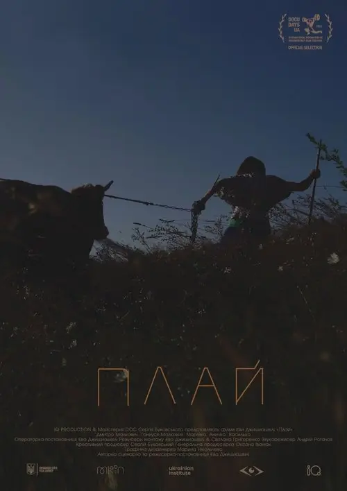 Постер фільму Плай