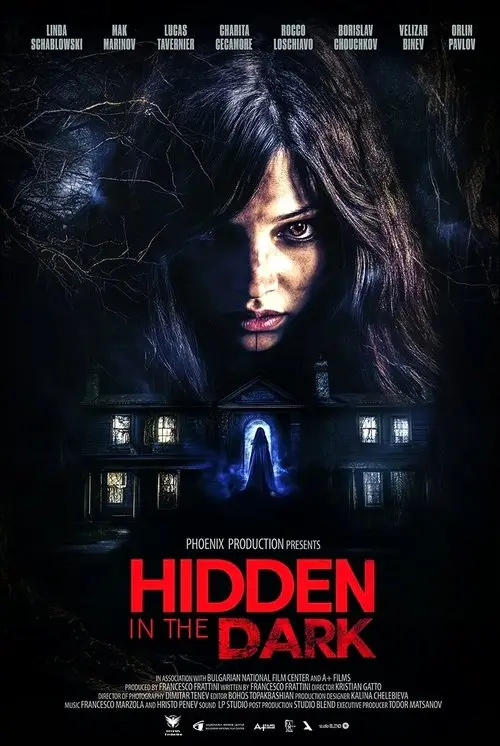 Постер фільму Hidden in the Dark