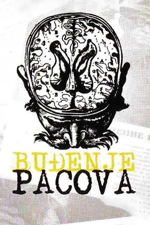 Постер фільму Буђење пацова
