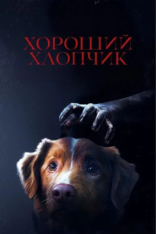 Постер фільму Хороший хлопчик