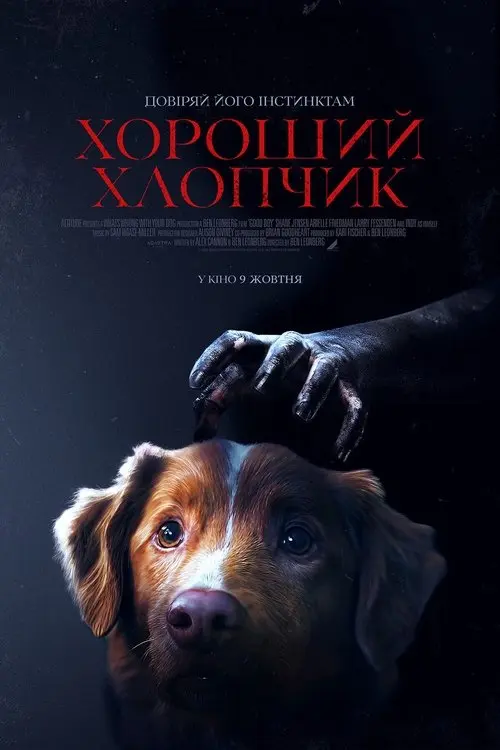 Постер фільму Хороший хлопчик