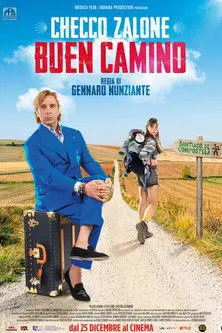 Постер фільму Buen Camino