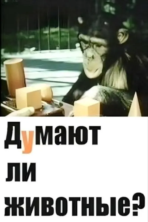 Постер фільму Чи думають тварини?