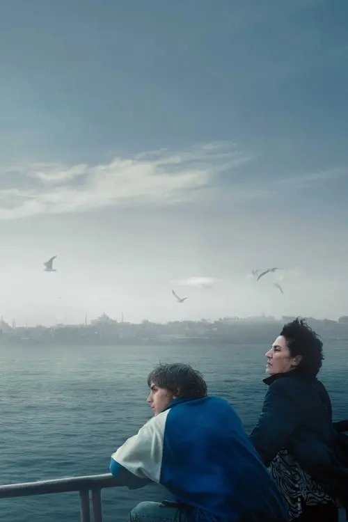 Постер фільму Перетин