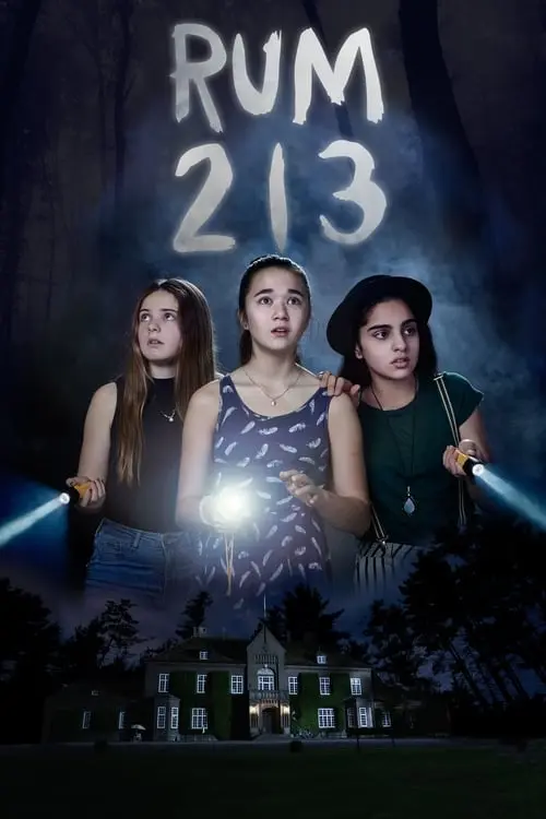 Постер фільму Кімната 213