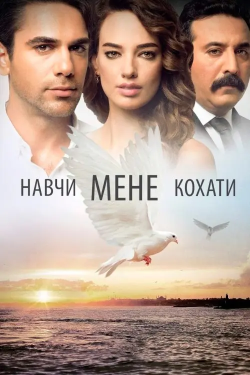Постер серіалу Навчи мене кохати