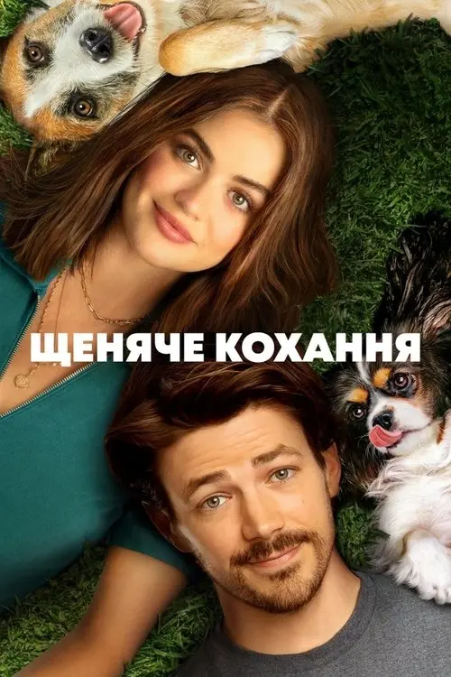 Постер фільму Щеняче кохання