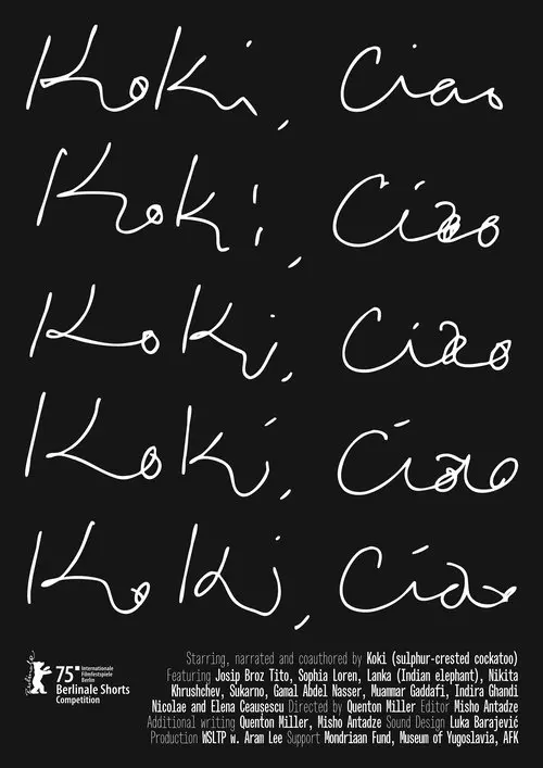 Постер фільму Кокі, чао!
