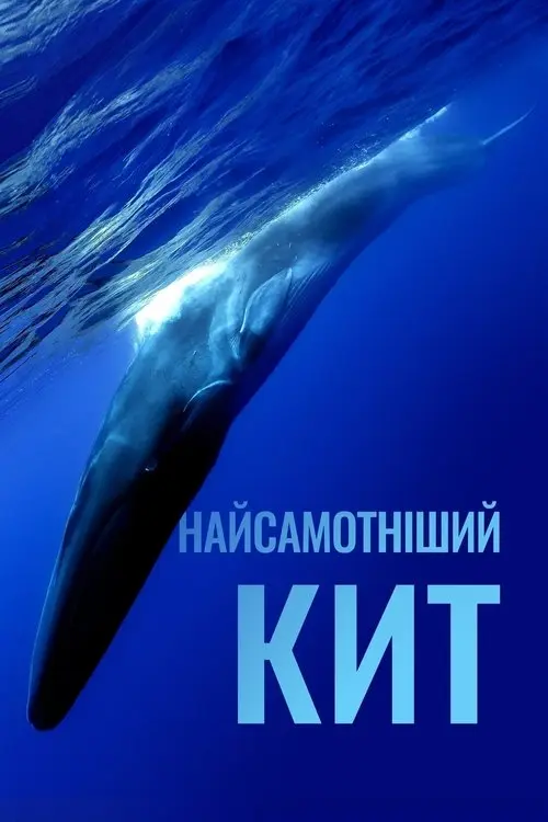 Постер фільму Найсамотніший кит