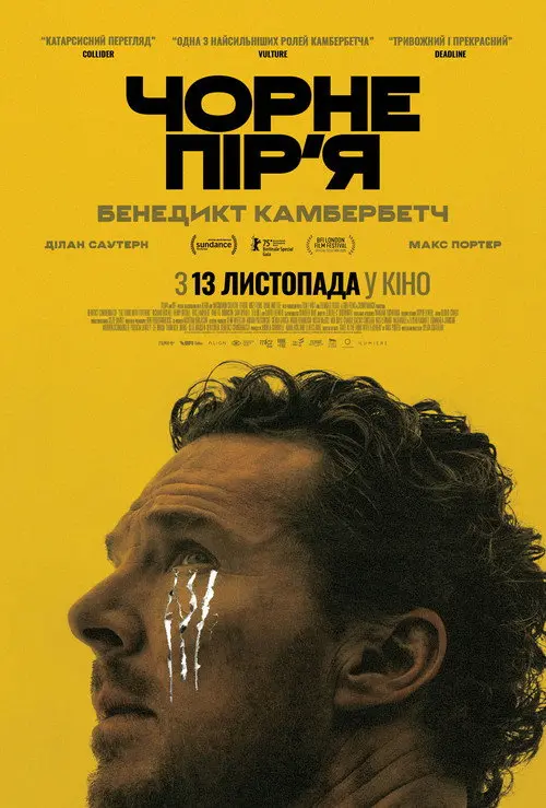 Постер фільму Чорне пір’я