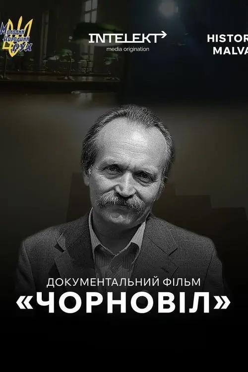 Постер фільму Чорновіл