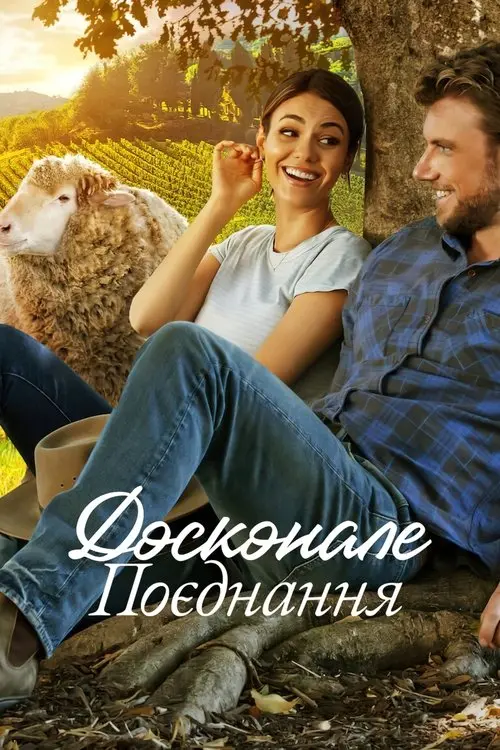 Постер фільму Досконале поєднання