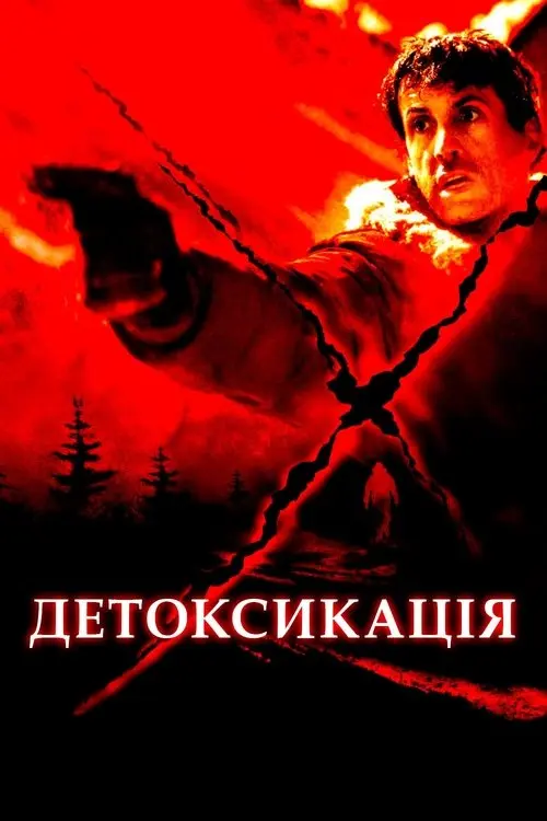 Постер фільму Детоксикація