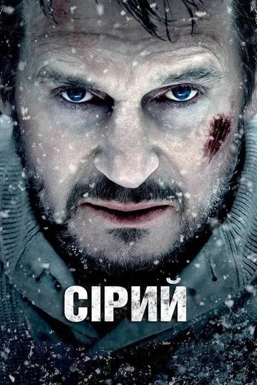 Постер фільму Сірий