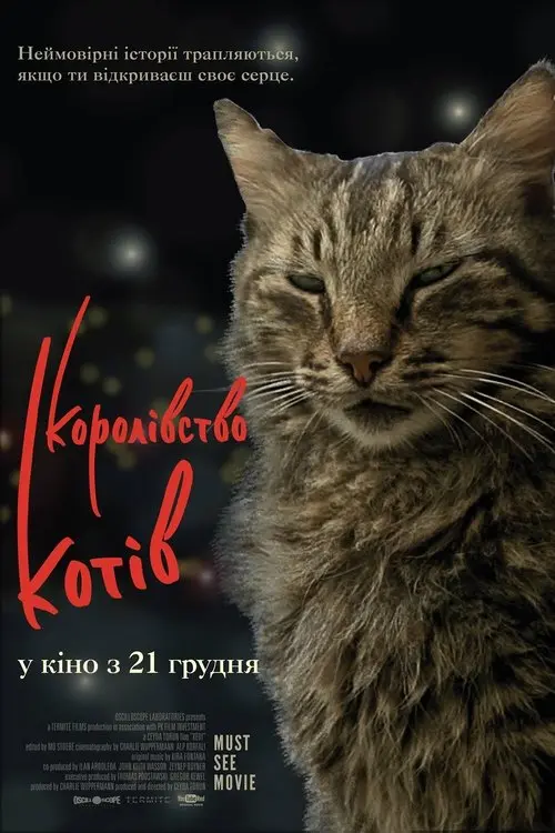 Постер фільму Королівство котів