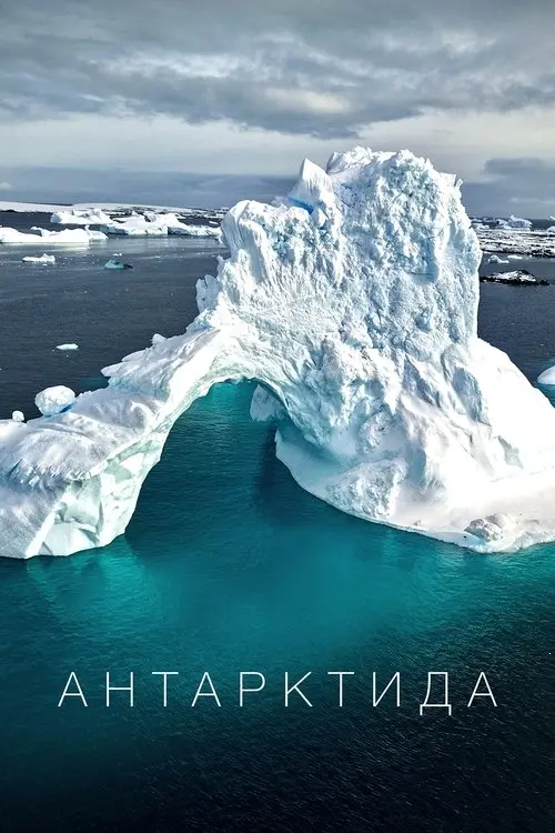 Постер фільму Антарктида