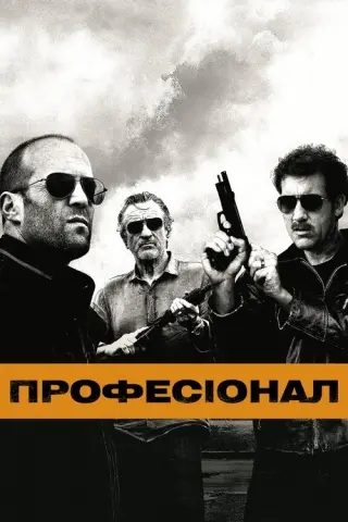 Професіонал