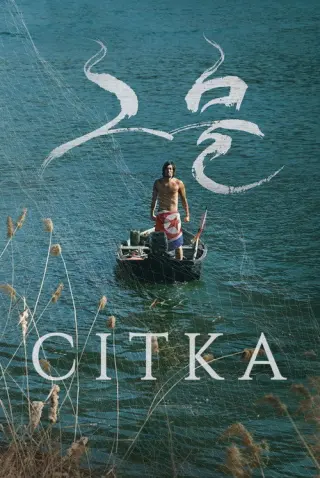 Сітка