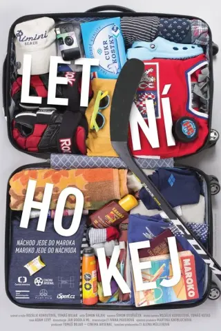 Літній хокей
