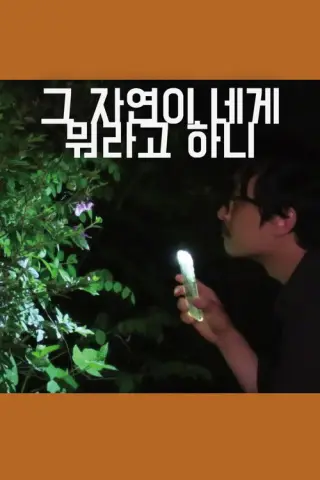 Що тобі каже ця природа