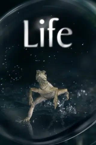 Життя