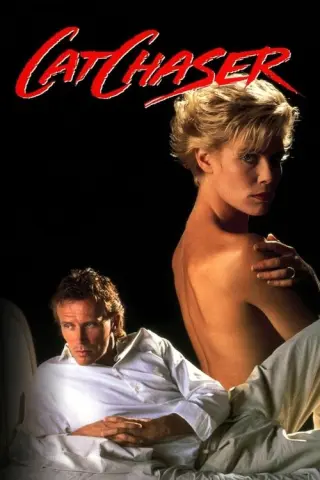 Переслідувач кішок