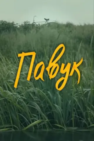 DZIDZIO: Павук