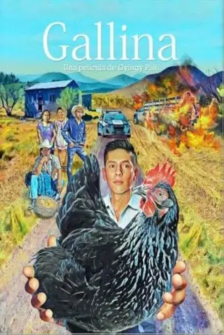 Курочка