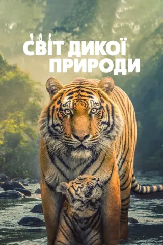 Світ дикої природи