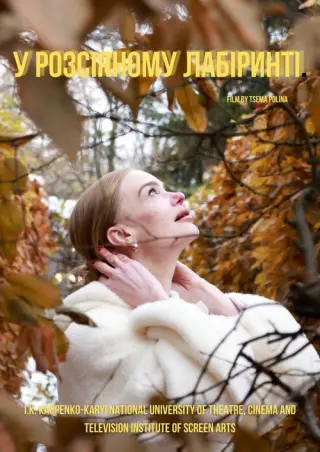 У розсіяному лабіринті