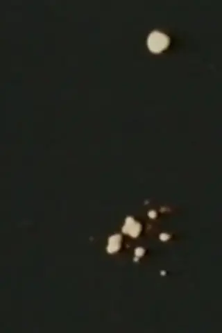 Пісня 11