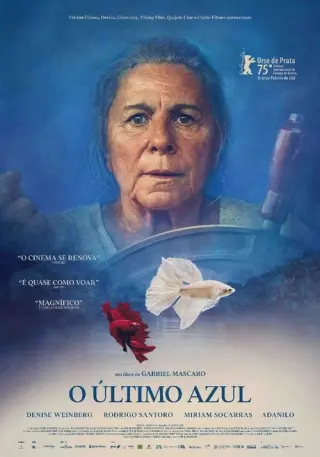 Блакитна стежка