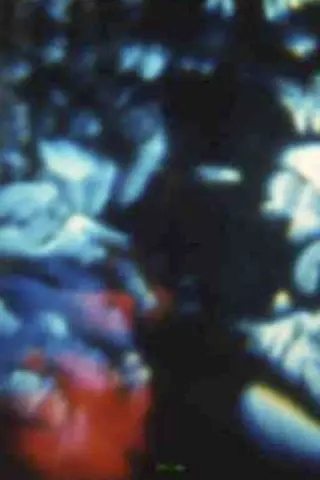 Пісня 16