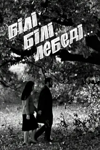 Білі, білі лебеді...