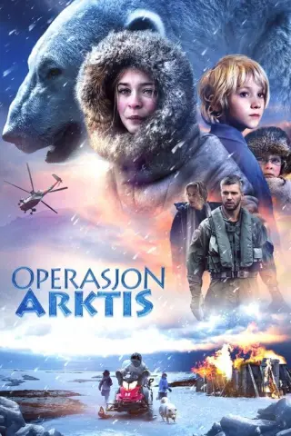 Операція «Арктика»