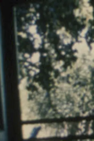 Пісня 19