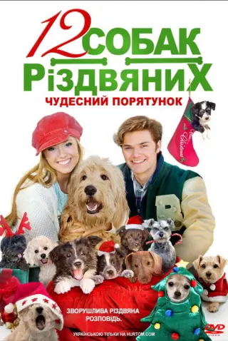 12 Різдвяних собак: Чудесний порятунок